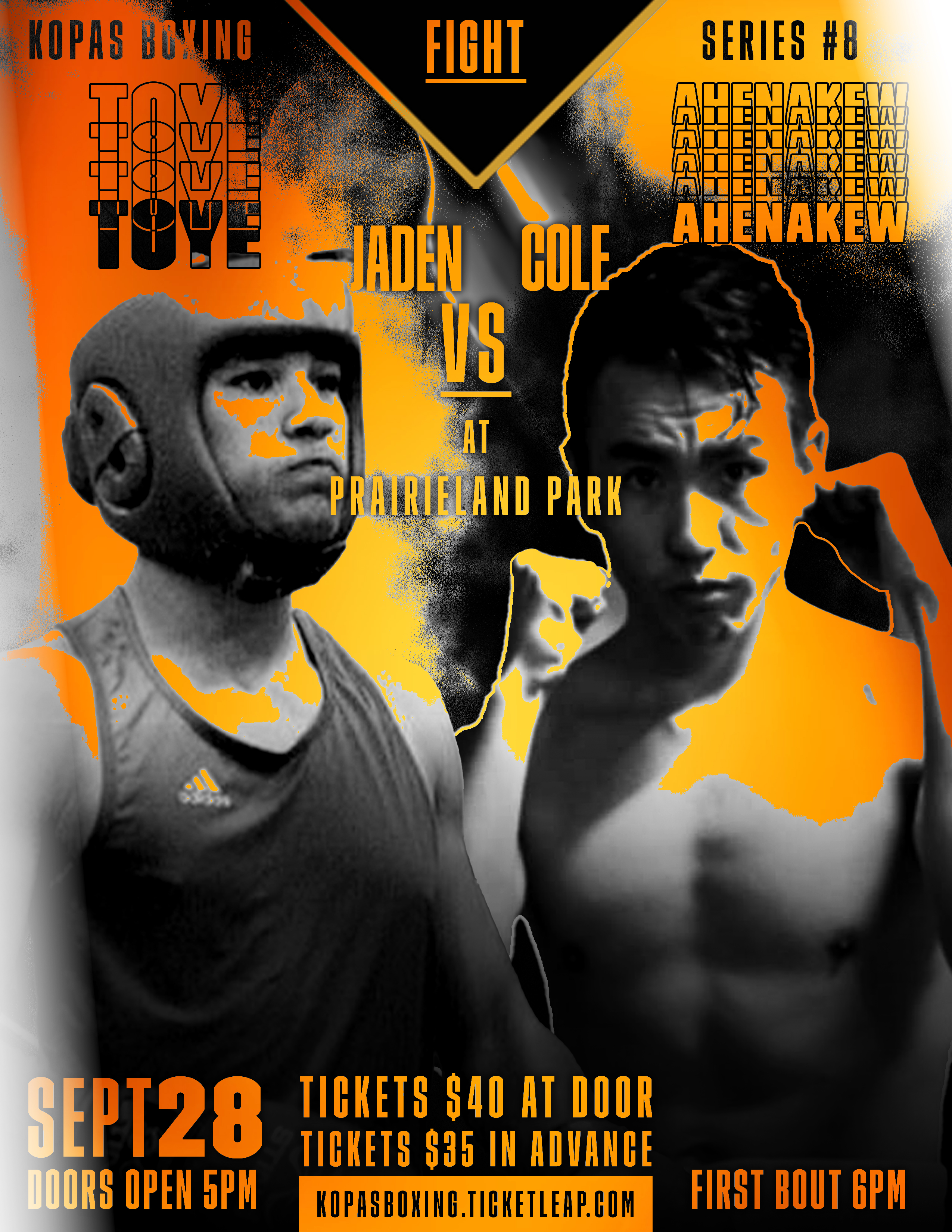 fight-14
